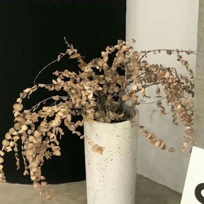 兽设背景场景绘制福瑞交流群